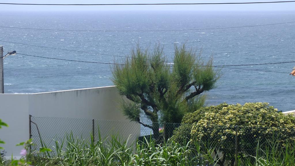 Santa Cruz Ocean Apartment - II 외부 사진